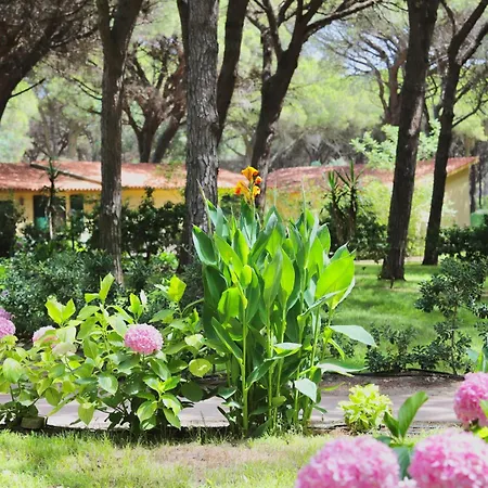 With Swimming-pool In Just 300 Meters From The 公寓式酒店 4*
