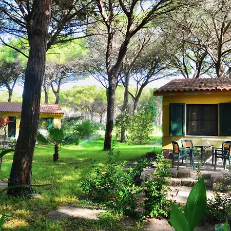 公寓式酒店 With Swimming-pool In Just 300 Meters From The 4*