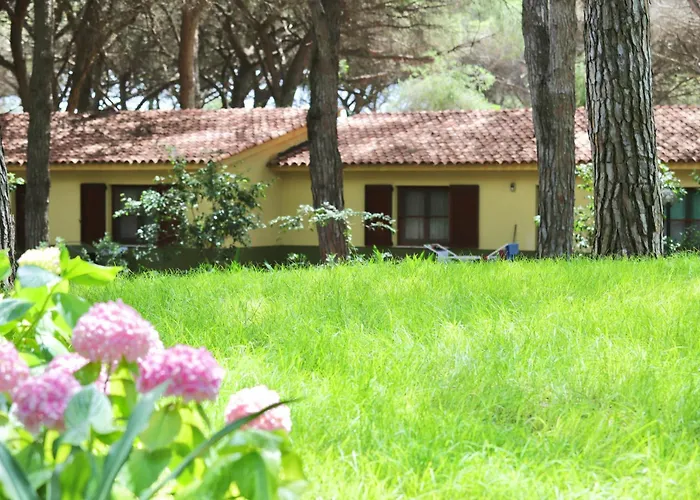 Aparthotel With Swimming-pool In Just 300 Meters From The Arborea