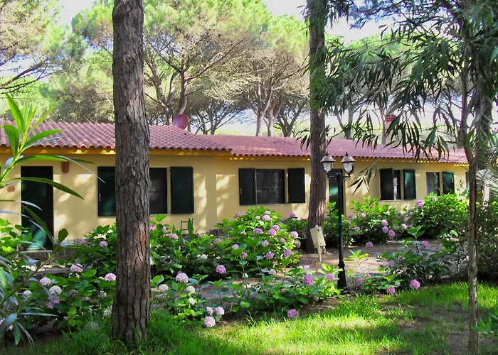 Aparthotel With Swimming-pool In Just 300 Meters From The