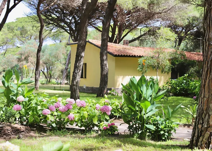 With Swimming-pool In Just 300 Meters From The 4* Arborea